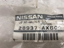 Трубка омывателя фар Nissan Almera N16