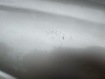 Крыло правое переднее Nissan Almera N16 2000-2002