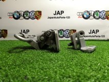 Петля двери правая задняя Volkswagen PASSAT Variant 2012