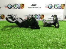 Петля двери правая задняя Volkswagen Passat 2012