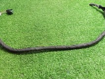 Трубка стеклоомывателя Audi A4 2009