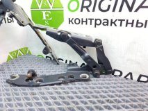 Петли капота Bmw 5-Series E39 Touring 2001 M57D30 306D1