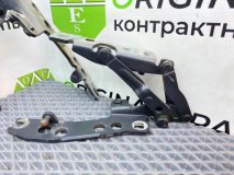Петли капота Bmw 5-Series E39 Touring 2001 M57D30 306D1