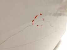 Дверь правая задняя Audi A4 B8