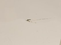 Дверь левая передняя Audi A4 B8