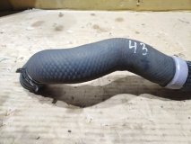 Патрубок радиатора передний TOYOTA HIGHLANDER GSU55 2014 2GR-FE 3.5