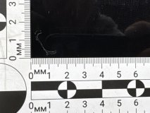 Спойлер задний Land Rover Range Rover Sport L494 2013 306PS