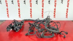 Коса двигателя AUDI A4 B8 2009 1.8 TFSI CDHB