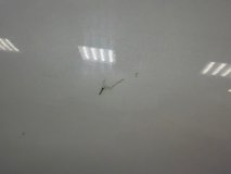 Дверь левая задняя Omoda C5 T19C 2022