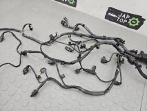 Проводка двигателя Infiniti Q50 V37 2015 2.0 M274DE20
