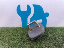 Петля замка двери Toyota Crown / Majesta GRS181 2008 4GRFSE