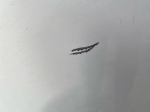 Дверь сдвижная правая задняя Toyota Grand Hiace VCH16W 2002 5VZFE Дверь сдвижная правая задняя Toyota Grand Hiace VCH16W 2002 5VZFE