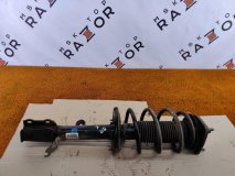Амортизатор правый передний Exeed LX 2022 SQRE4T15C