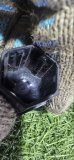 Колпачок колесного болта Exeed RX T22 2024 AGRG00525