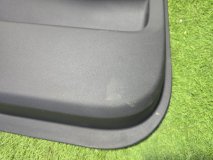 Обшивка двери левая задняя Exeed RX T22 2024 AGRG00525