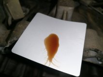 АКПП TOYOTA COROLLA SPACIO AE111N 1997-2001 4A-FE