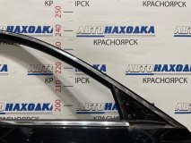 Дверь правая передняя HYUNDAI GRANDEUR TG 2005-2011 G6DB