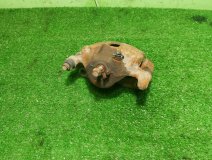 Суппорт тормозной правый передний hyundai Getz 2003 G4EA