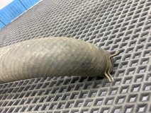 Патрубок радиатора Toyota Caldina E-ST195G 1995 3S-FE Патрубок радиатора Toyota Caldina E-ST195G 1995 3S-FE