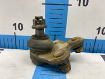 Шаровая опора передняя Toyota Corolla Fielder ZZE122G 2000 1ZZ-FE