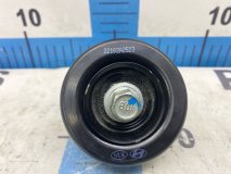 Ролик обводной навесного оборудования Hyundai Palisade LX2 2022 D4HB