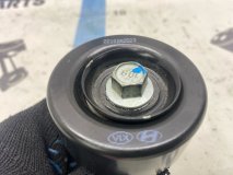 Ролик обводной навесного оборудования Hyundai Palisade LX2 2022 D4HB