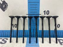 Клапан выпускной Hyundai Palisade LX2 2022 D4HB