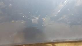 Капот Toyota Land Cruiser 200