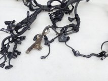 Проводка двигателя Toyota Corolla E210 2022 M15AFKS