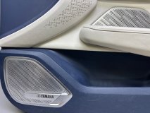 Обшивка двери правая передняя Zeekr 001 2025 Обшивка двери правая передняя Zeekr 001 2025