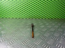 Датчик уровня масла Renault Megane 1 K4M708 1.6 107 л.с. Датчик уровня масла Renault Megane 1 K4M708 1.6 107 л.с.