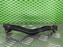 Трубка вентиляции Volkswagen Golf 5 BSE 1.6 102 л.с.