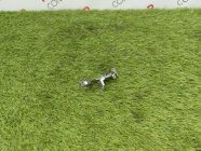 Ручка открывания бензобака Toyota Corolla Fielder ZRE144G 2009 2ZRFE