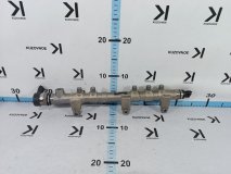 Рейка Топливная (Рампа) Hyundai Santa Fe TM 2018 D4HA