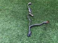 Проводка KIA Sportage 4 QL 2016 1.6 G4FJ