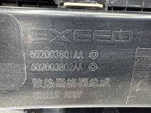 Решетка радиатора Exeed VX 2020