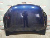 Капот Volkswagen Tiguan NF 2006-2017