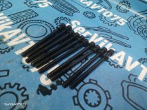 Болт головки блока цилиндров Nissan R'nessa N30 2001 SR20DE