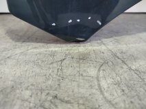 Капот Chery Tiggo 8 Pro Champion 2021-2024