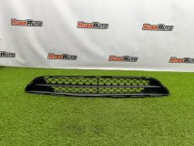 Решетка в бампер передняя Hyundai Azera 2012-