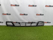 Решетка в бампер передняя Hyundai Porter 2 2011-