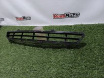 Нижняя решетка передняя Hyundai SANTA FE