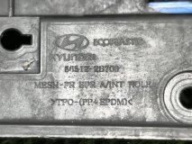 Решетка в бампер передняя Hyundai SANTA FE 2006-