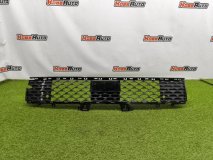 Решетка в бампер передняя Hyundai SANTA FE MX5