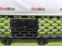 Решетка в бампер передняя Hyundai SANTA FE MX5