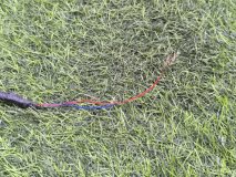 Проводка парктроников задняя Hyundai Elantra 7 Проводка парктроников задняя Hyundai Elantra 7