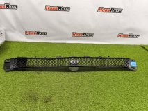 Решетка в бампер передняя Mercedes G W463