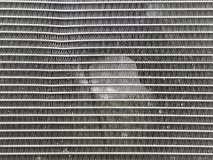 Радиатор охлаждения двигателя Kia Picanto 3