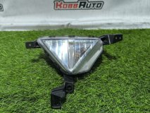Фара противотуманная правая Hyundai Elantra 2018-