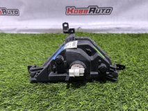 Фара противотуманная правая Hyundai Elantra 2018-